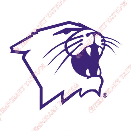 Northwestern Wildcats Customize Temporary Tattoos Stickers NO.5705